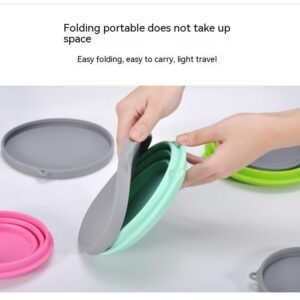 Collapsible Silicone Lunch Bowl with Lid