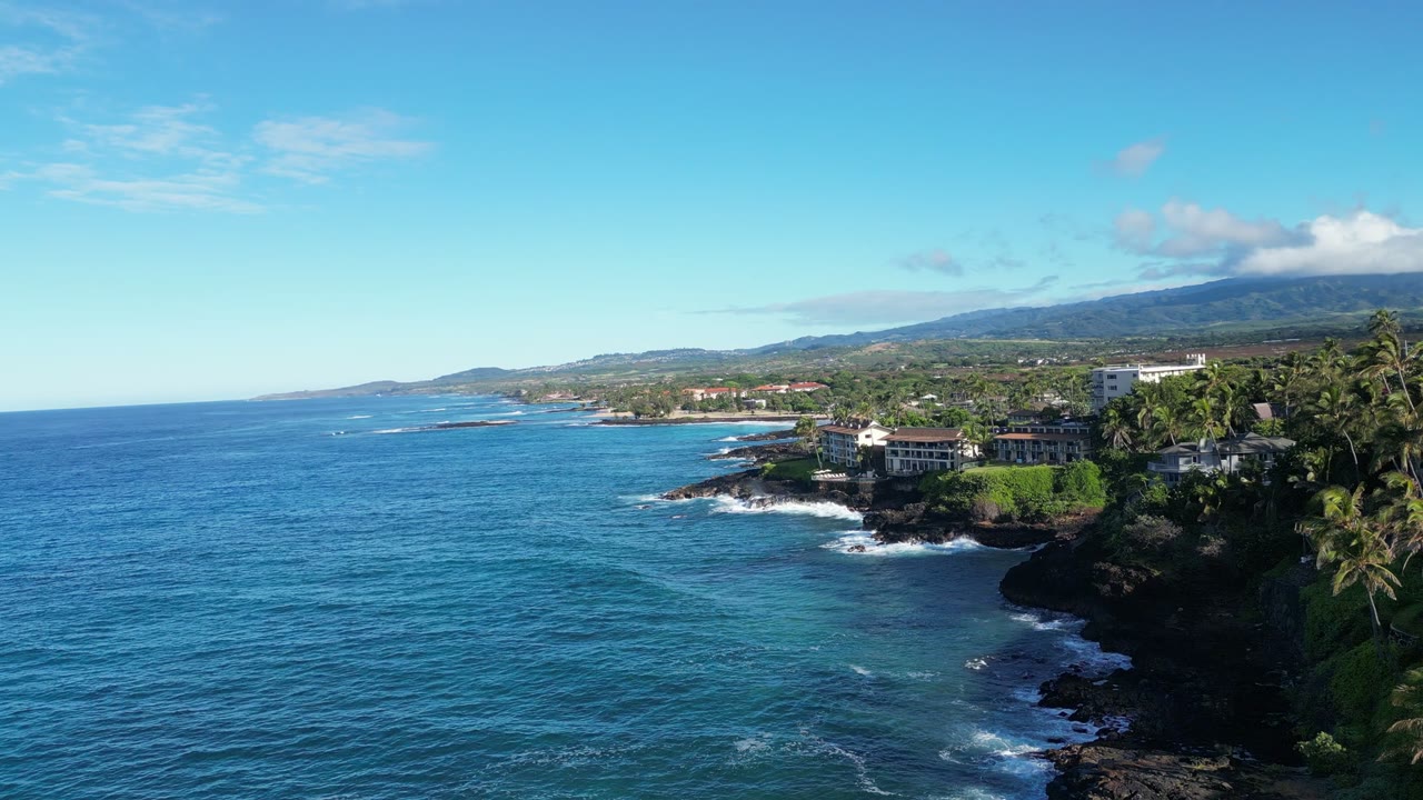 A blue coastline with palm trees